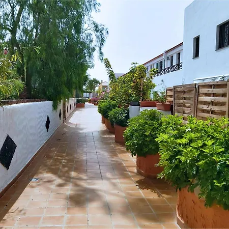 Live Don Jose Two Hundred And Five With Huge Pool And Teracce Arona (Tenerife)